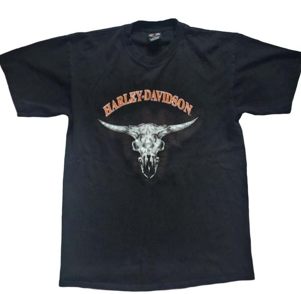 Vintage 2000 Harley-Davidson T-Shirt Size L Black Frontier Lincoln Nebraska